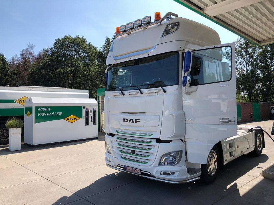 volvo_horse